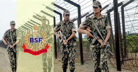 bsf