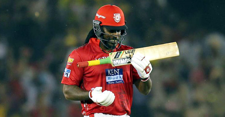 gayle 6